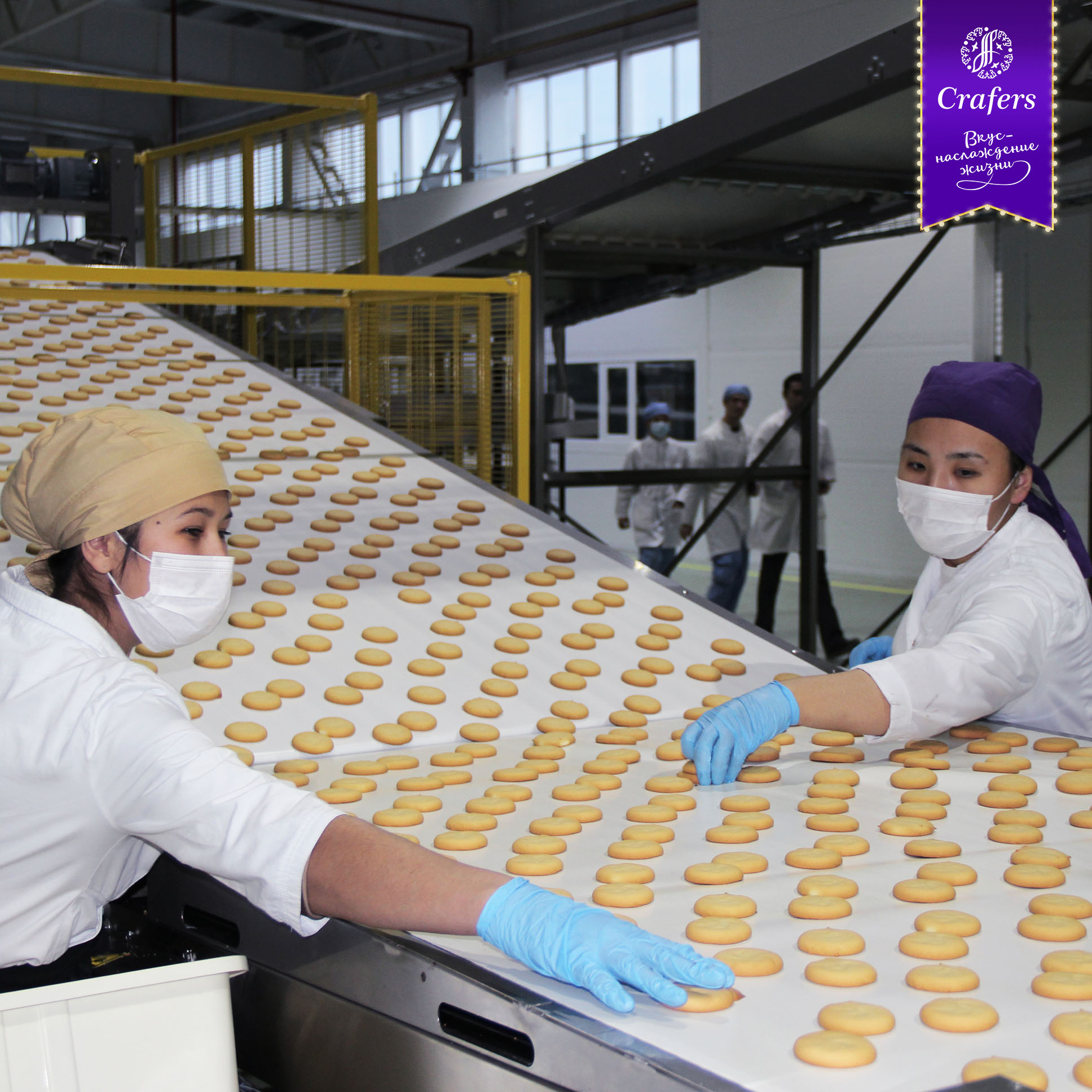 Crafers сообщила о проведении аттестации среди сотрудников