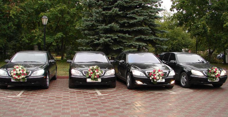 Столичный депутат обвинил свадебные кортежи в беззаконии