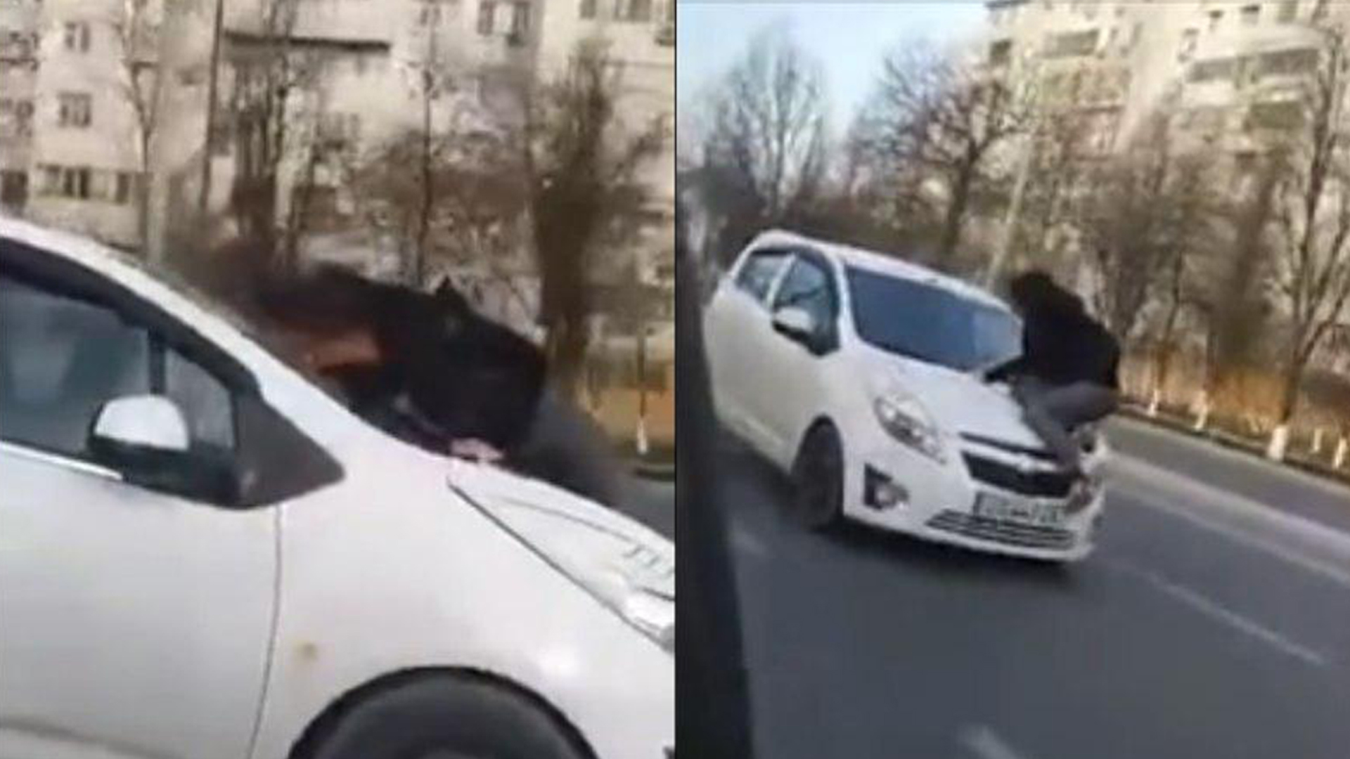 Случаю с «проехавшей» на капоте женщиной в Ташкенте нашлось объяснение