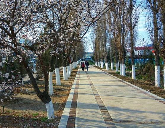 Узгидромет рассказал о жарких выходных в Ташкенте