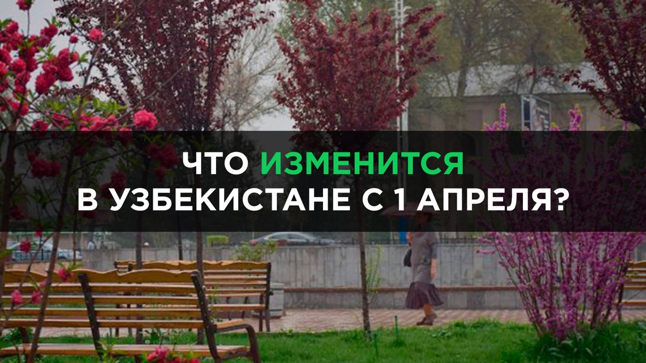 Какие изменения ждут узбекистанцев с 1 апреля