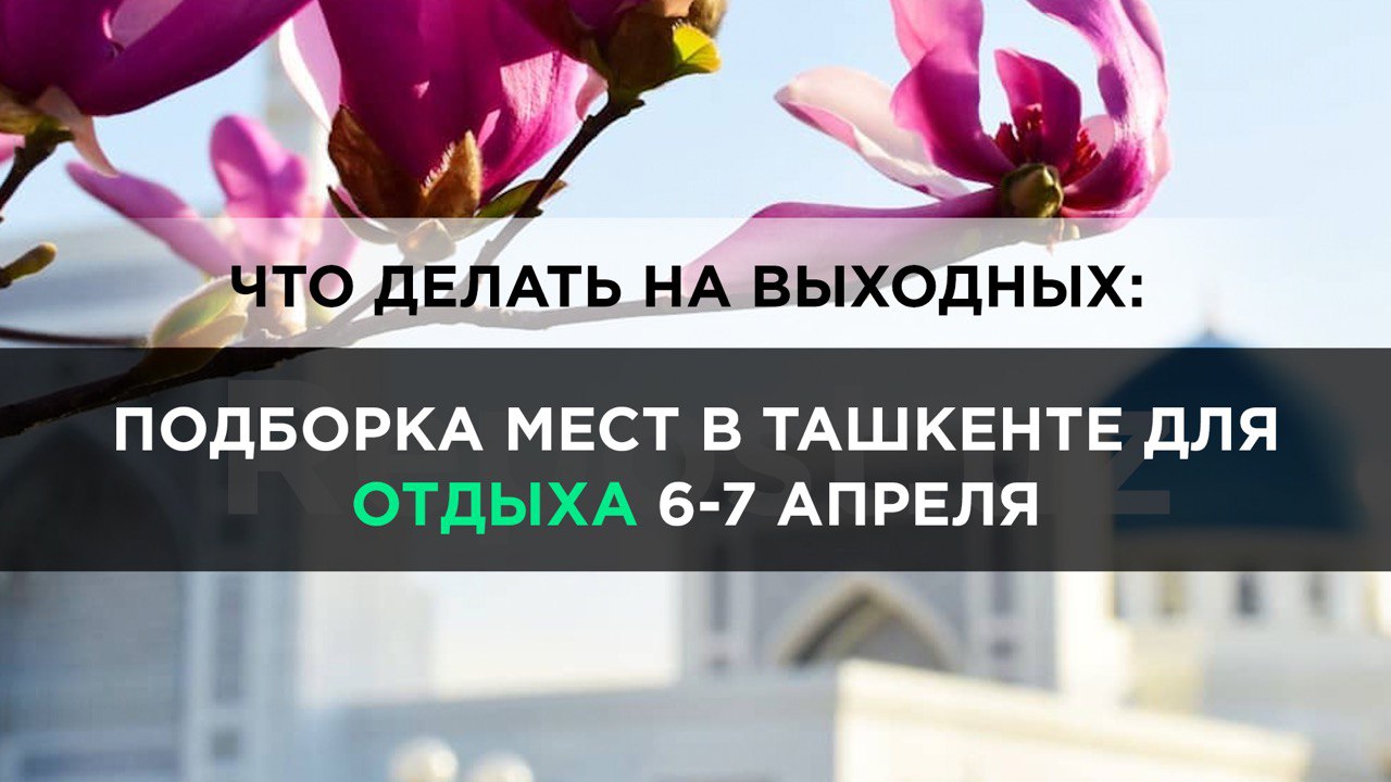 Куда сходить на выходных в Ташкенте