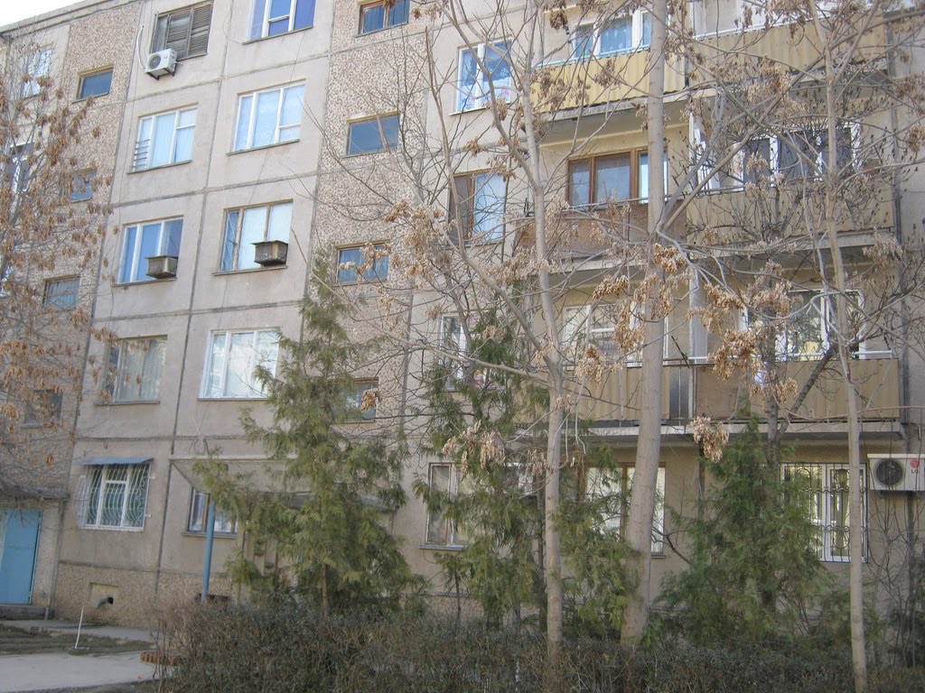 В Навои воры обчистили китайцев на десятки миллионов сум