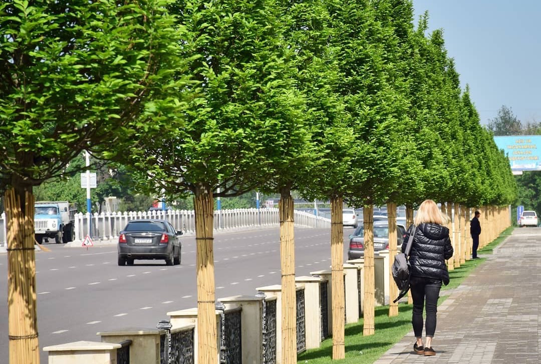 Узбекистан ожидает потепление после двухнедельных дождей