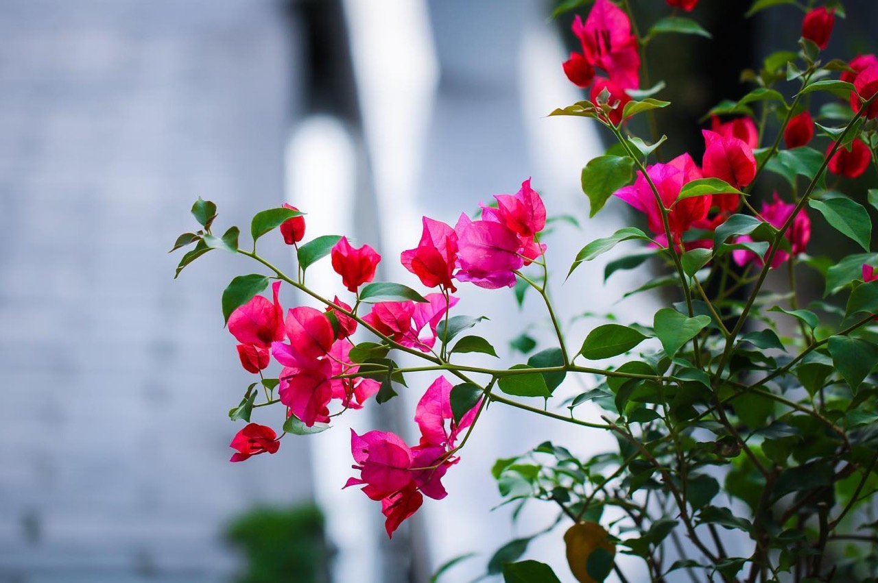 Узбекистанцам предсказали погоду на конец мая