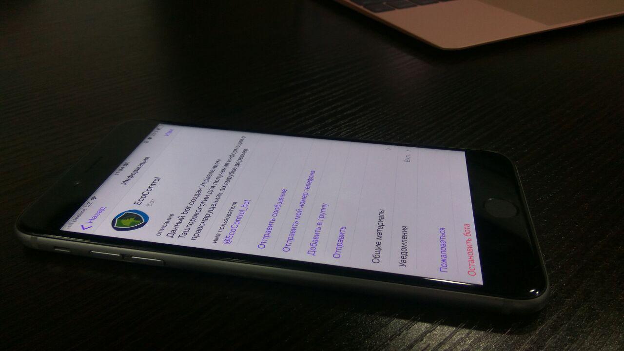 В Ташкенте запустили Телеграм-бот против незаконной вырубки деревьев