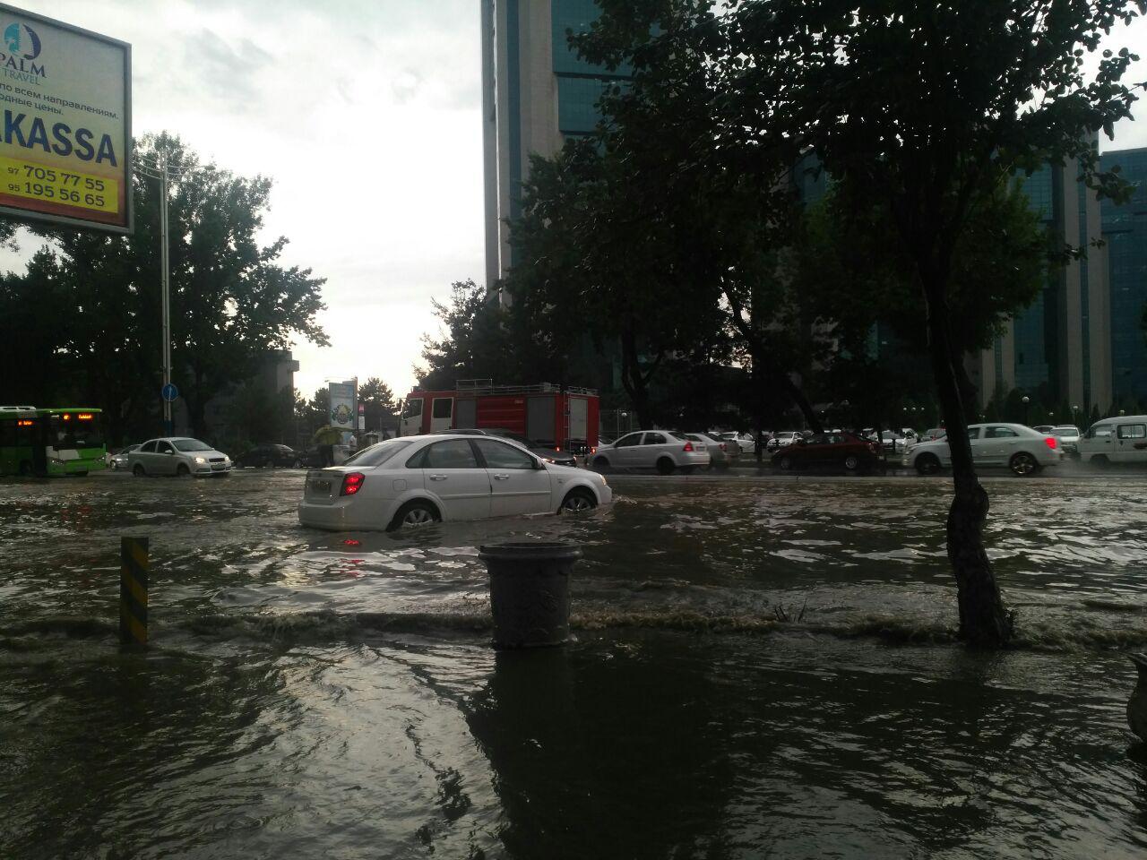 Узгидромет прокомментировал сильный ливень в Ташкенте: он оказался сильнейшим за последние 9 лет