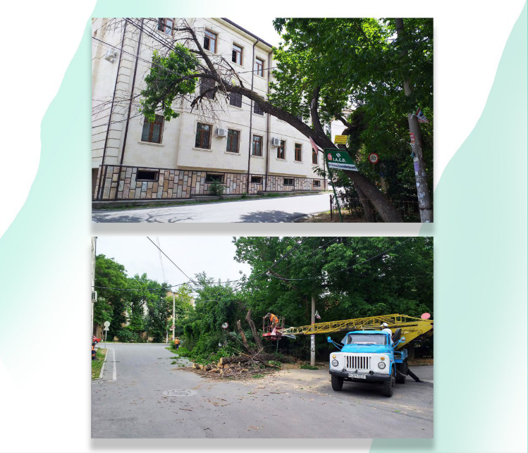 Хокимият решил проблему жителей Мирзо-Улугбекского района