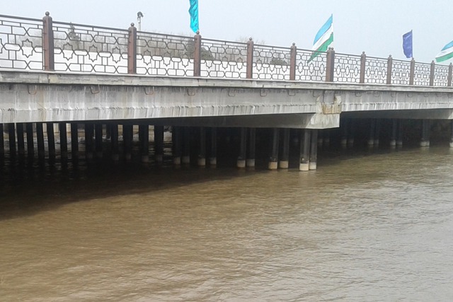 В Ташобласти мужчина поссорился с дядей и столкнул его с моста  