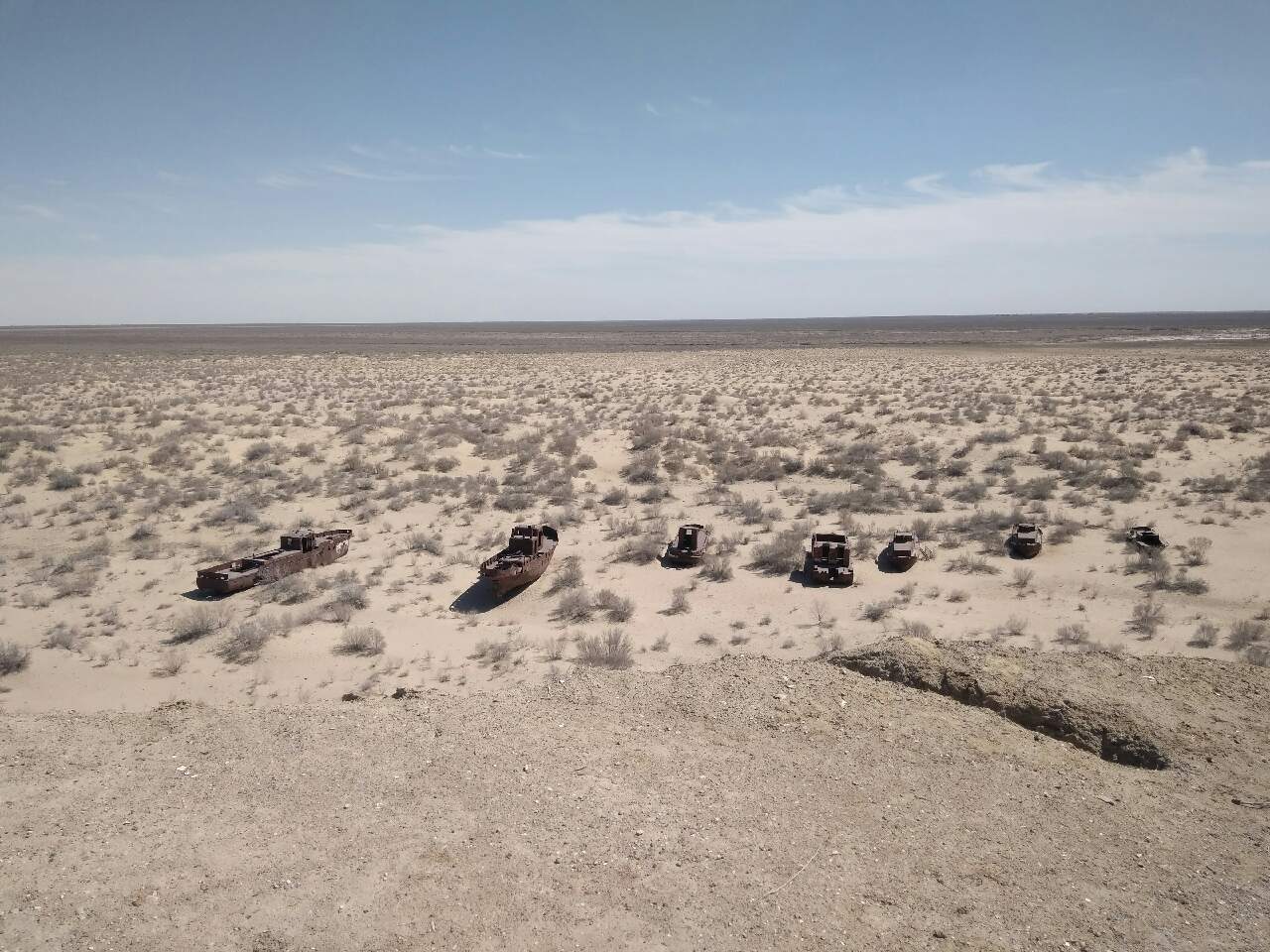 Высохшее Аральское море решили засадить деревьями