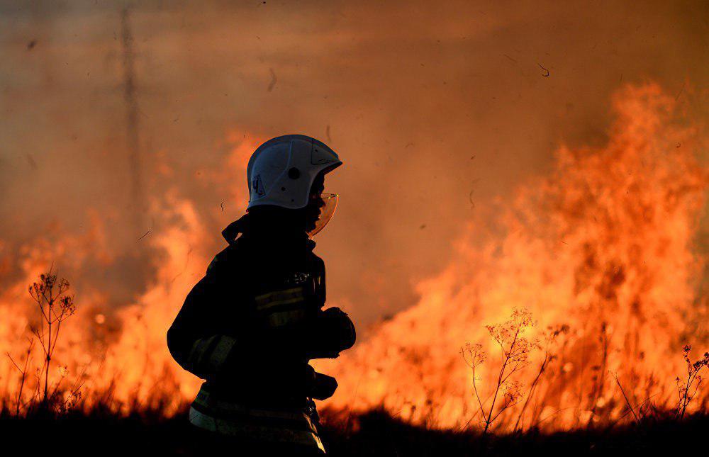 Хокимият обнародовал статистику пожаров по Ташкенту