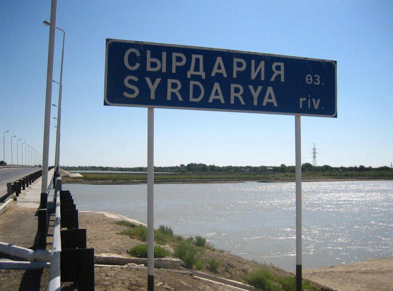 В Сырдарье мужчина ранил ножом двух врачей за смерть ребенка