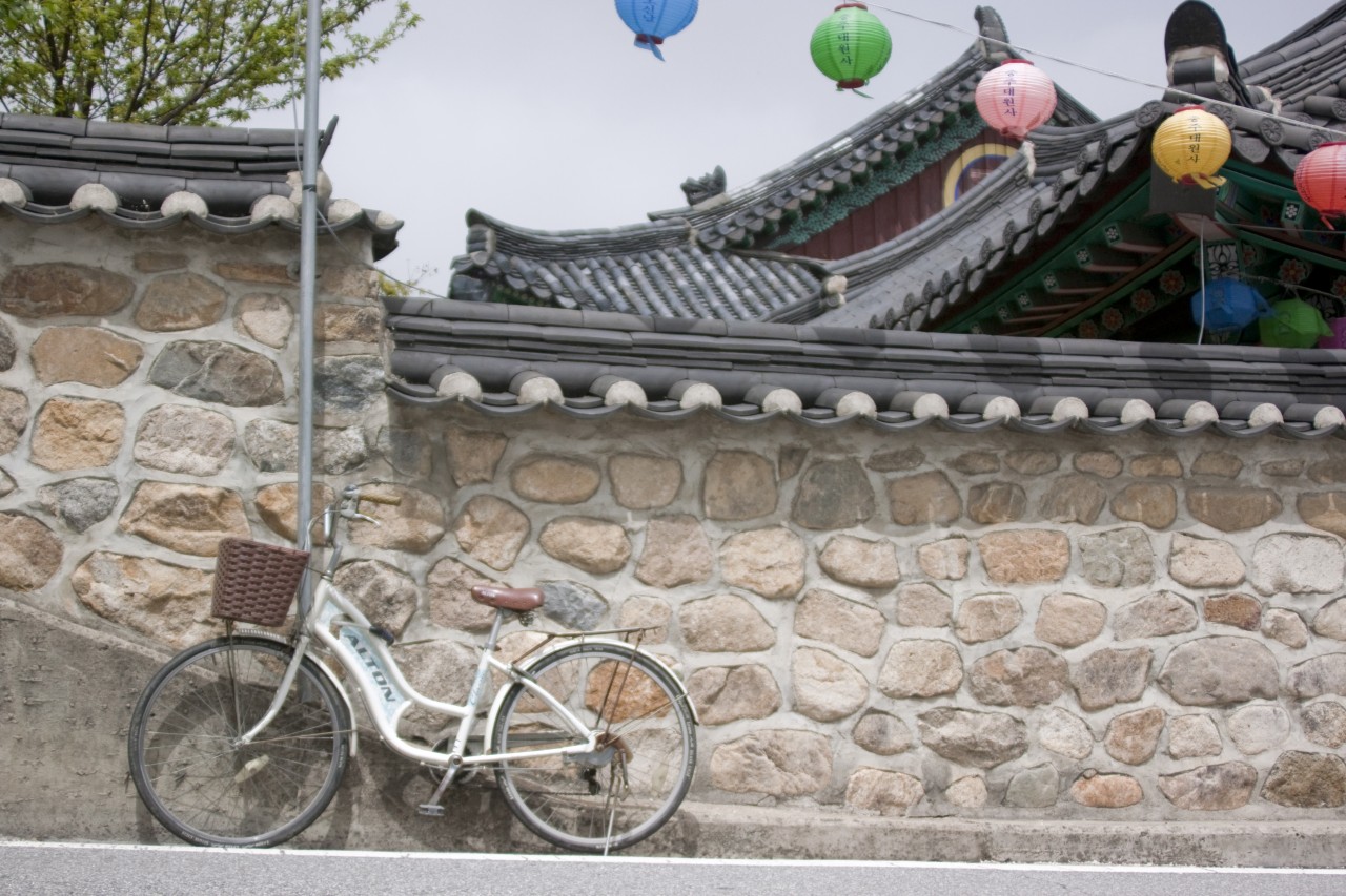 МИД прокомментировал задержание узбекистанцев, укравших в Южной Корее велосипеды