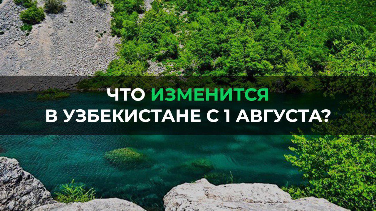 Какие изменения ожидают узбекистанцев с первого августа