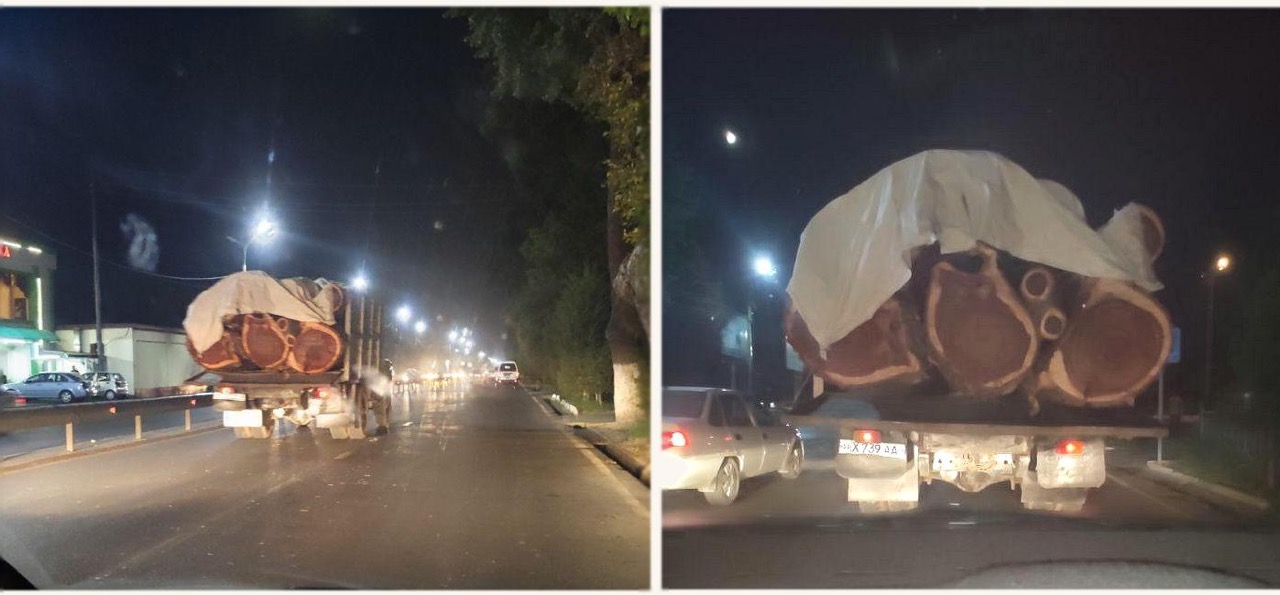 В Ташкенте задержан срубивший полувековые деревья мужчина 