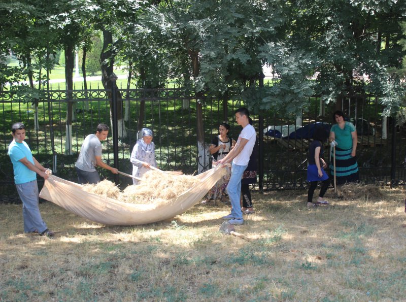 В Узбекистане объявлен двухдневный хашар