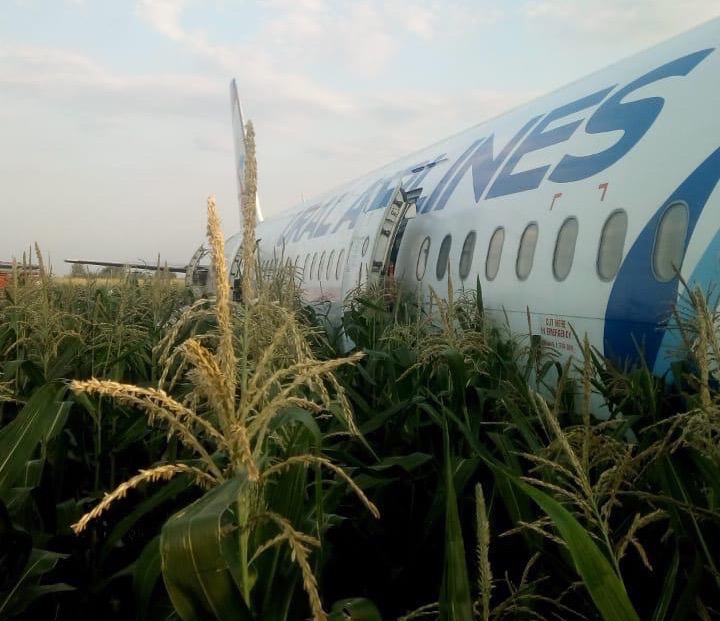Появилось видео посадки А321 на кукурузное поле в Подмосковье