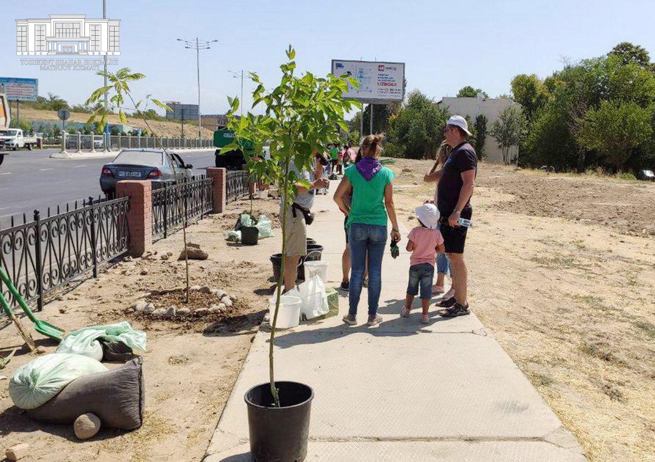 Ташкентцы готовятся ко дню независимости