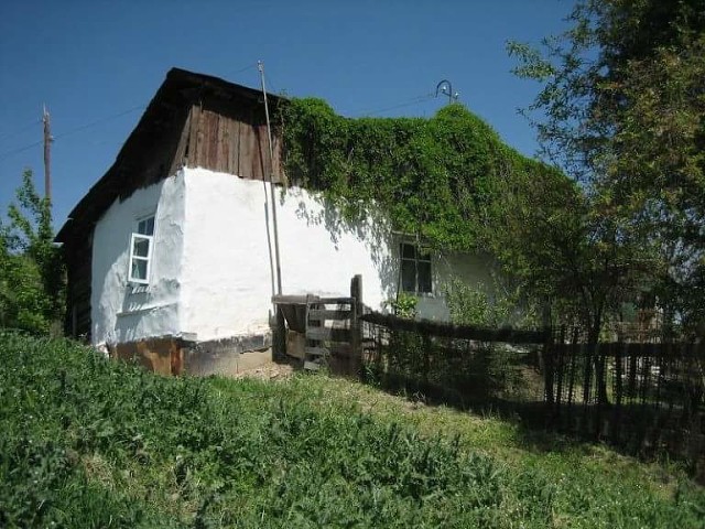 В Каракалпакстане муж жестоко расправился с женой