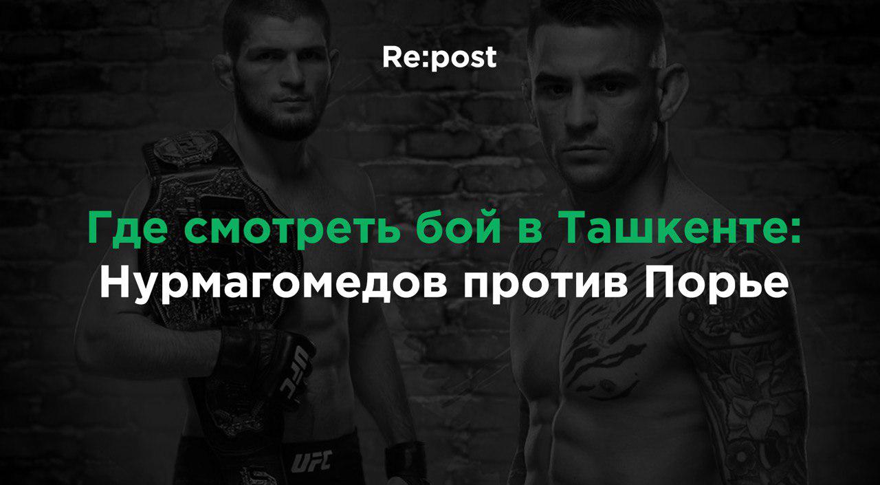 Инфографика: где смотреть бой Нурмагомедова против Порье в Ташкенте