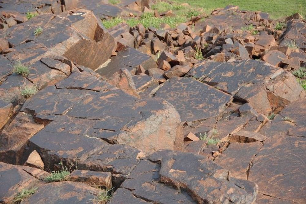 Польские ученые совершили мировое открытие в Узбекистане