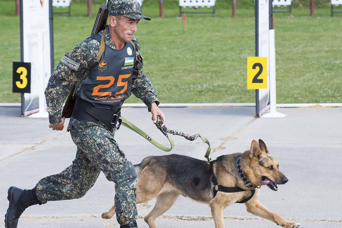 Кинологам Узбекистана доплатят по квалификации