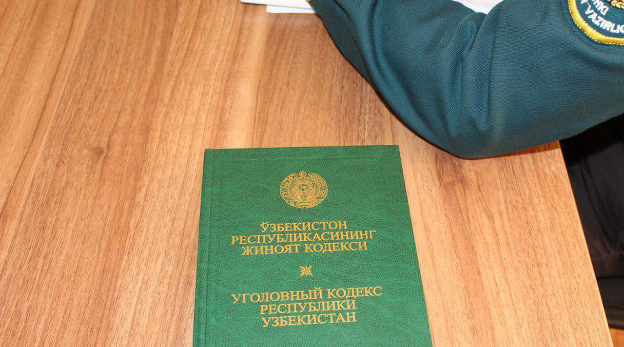 В Уголовной кодекс ввели понятие ограниченной вменяемости и разъяснили права психически нездоровых людей