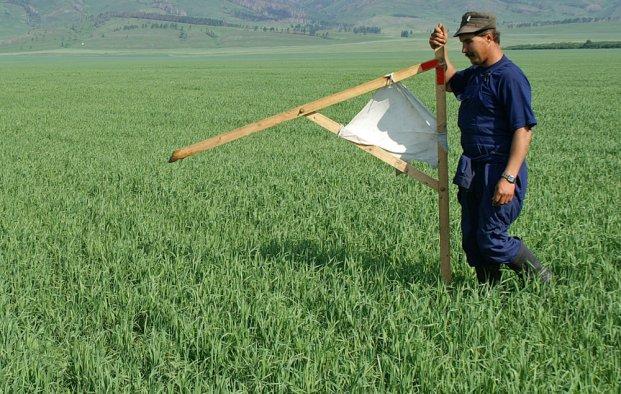 В Узбекистане введут новый порядок изъятия земельных участков