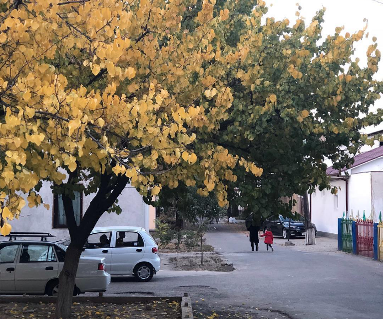 Синоптики предсказали узбекистанцам погоду на конец сентября