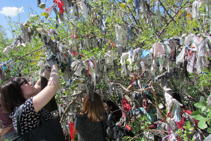 Госкомэкологии уличил влажные салфетки во вреде и назвал альтернативу 