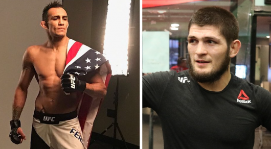 Объявлена дата боя Хабиба Нурмагомедова с Тони Фергюсоном