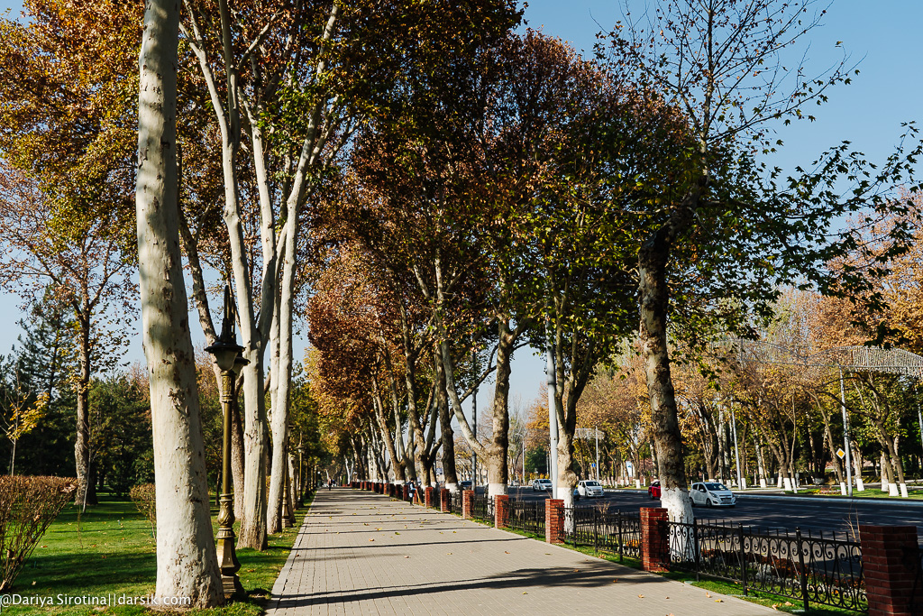 Синоптики рассказали узбекистанцам о планах погоды на неделю