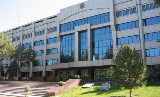 ГУВД проведет проверку по видеозаписи об избиении 13-летнего мальчика