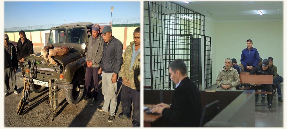 Застрелившие джейранов браконьеры получили срок 