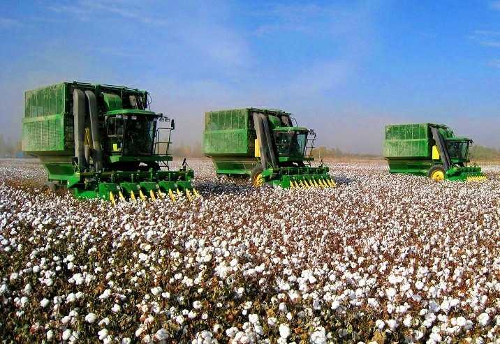 В Узбекистане отменили госзаказ на хлопок