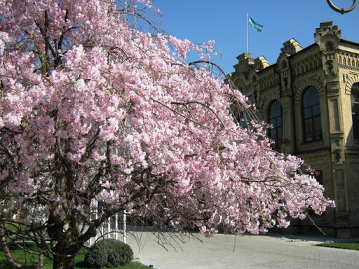 Узбекистанцам пообещали прохладные выходные 