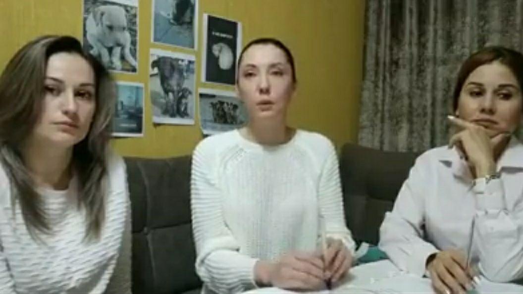 К Саиде Мирзиёевой обратились с просьбой об аудиенции, чтобы обсудить жестокость в отношении животных