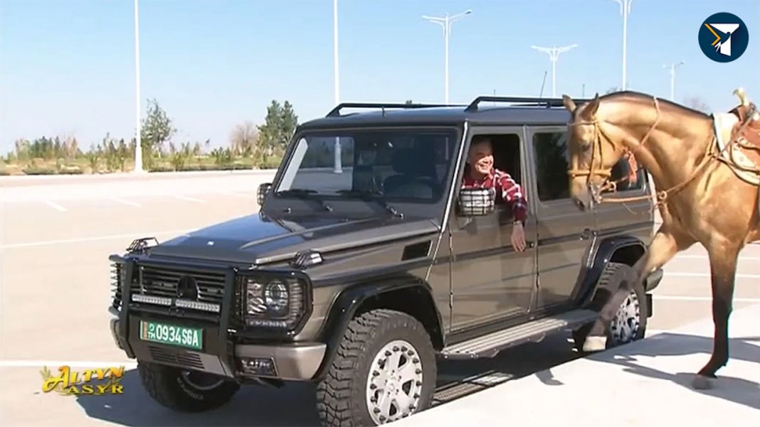 Президент Туркменистана верхом на коне утвердил виды деревьев, которые следует сажать