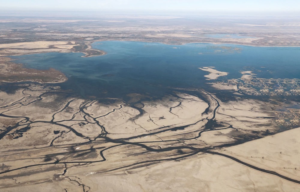 ООН собирает средства на посадку деревьев на дне Аральского моря