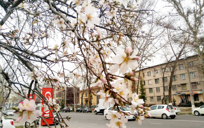 Синоптики рассказали о погоде на выходных 