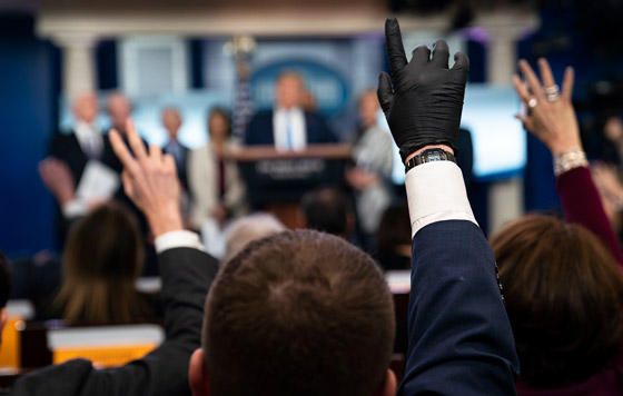 Премию Абеля присудили за случайные блуждания