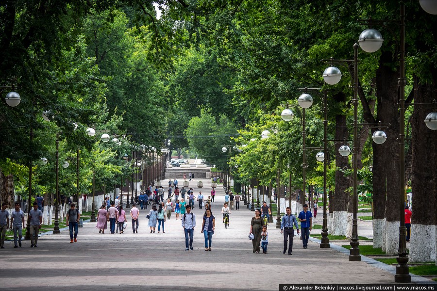 Синоптики рассказали о планах погоды на неделю 