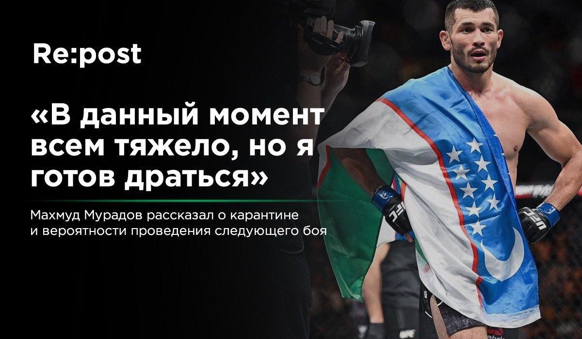 Махмуд Мурадов о вероятности проведения предстоящего UFC 249