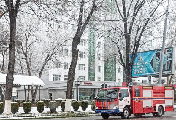 Синоптики предупредили об апрельском снеге в Ташкенте 