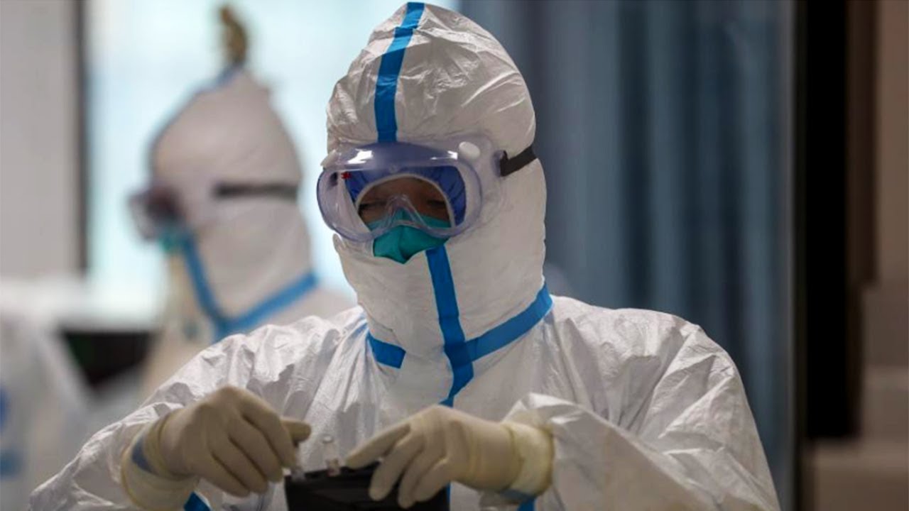 Озвучена новая версия возникновения коронавируса