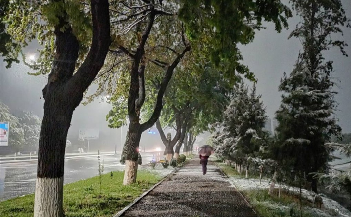 Узгидромет рассказал, как часто выпадает снег в апреле