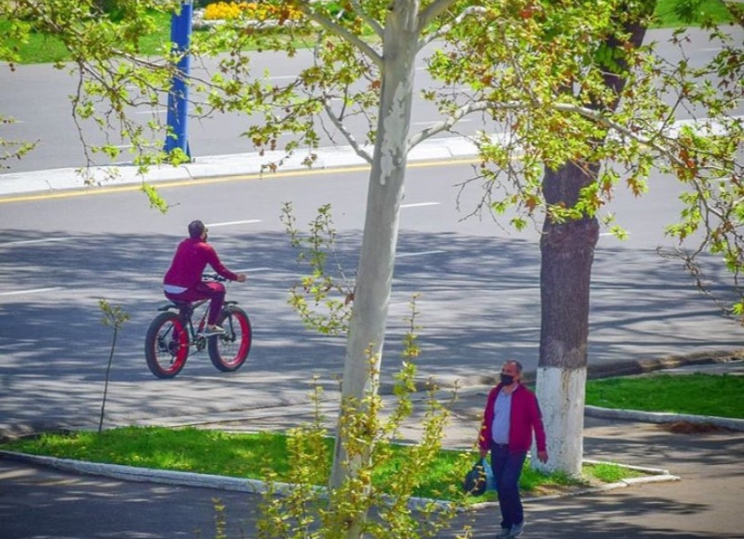 «Яндекс» начал отображать уровень самоизоляции в Узбекистане