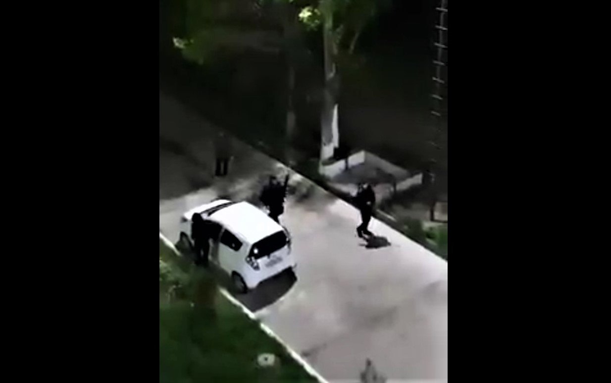 УВД Ташкентской области прокомментировало видео с отстреливанием собак