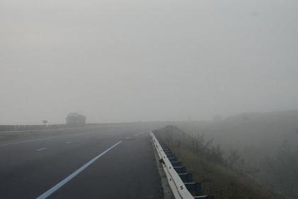 Пожары в Чернобыле сделали Киев городом с самой загрязненной атмосферой в мире