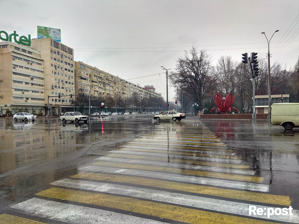 Водителей такси в Узбекистане обязали носить спецодежду